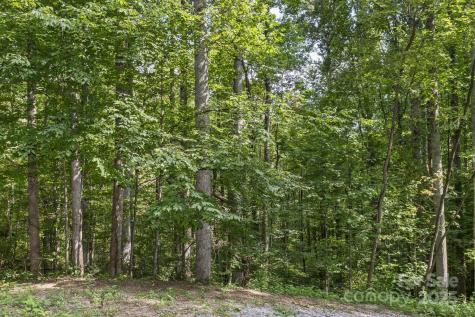 9999 Flowing Brook Lane Waynesville NC 28786