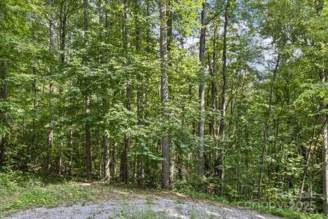 9999 Flowing Brook Lane Waynesville NC 28786