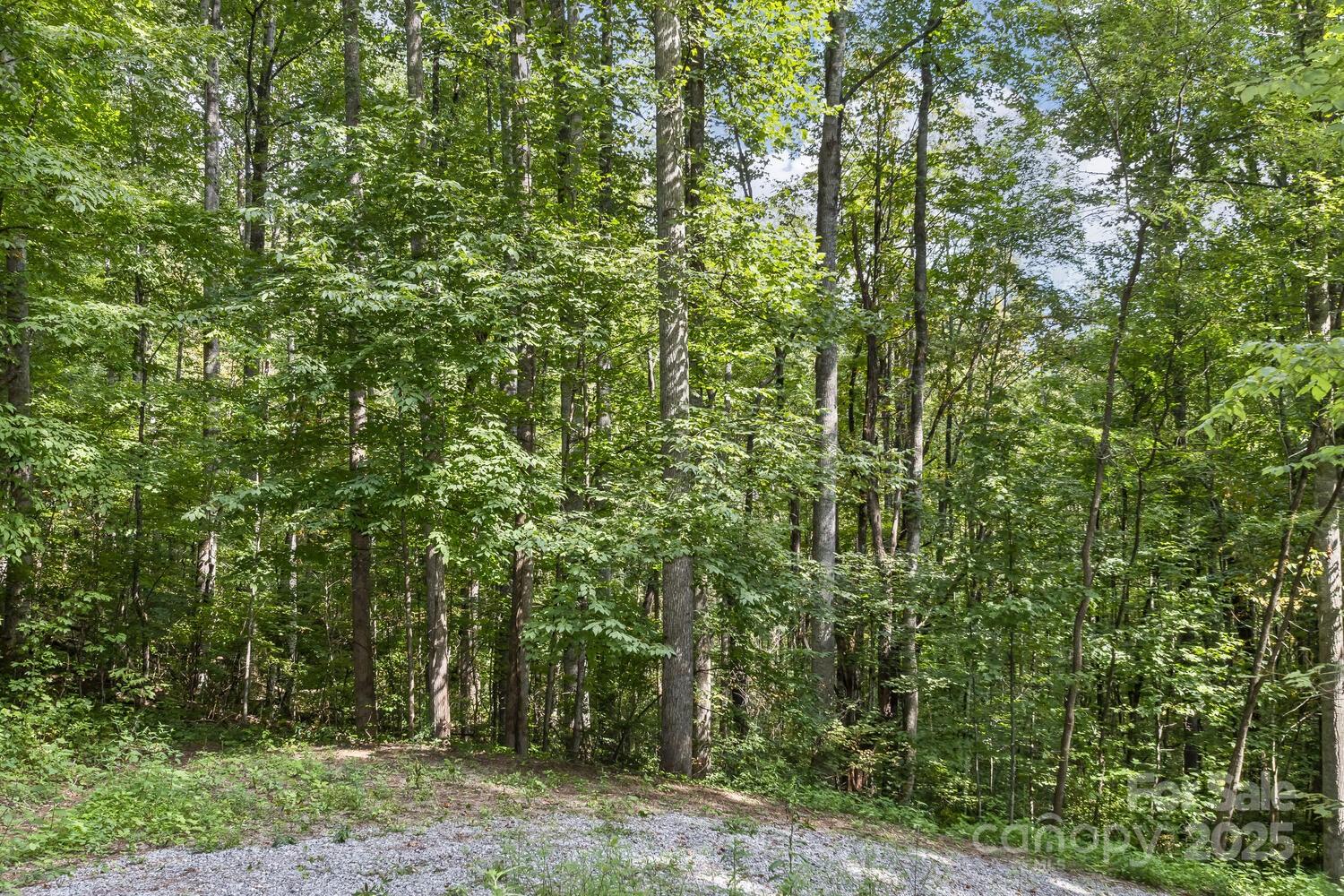 9999 Flowing Brook Lane Waynesville NC 28786