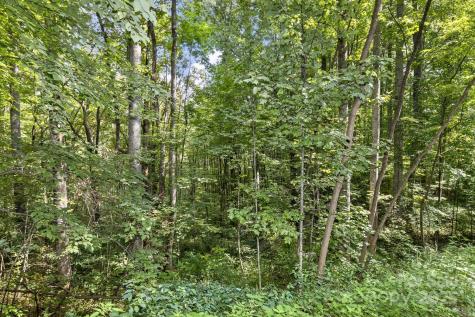 9999 Flowing Brook Lane Waynesville NC 28786