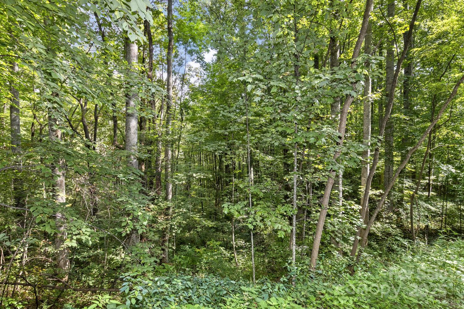 9999 Flowing Brook Lane Waynesville NC 28786