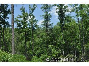 62 Havens Creek Road Black Mountain NC 28711