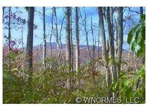 62 Havens Creek Road Black Mountain NC 28711