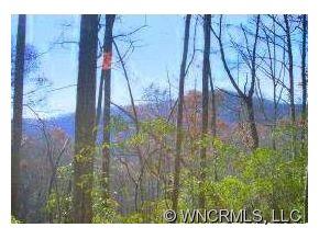 62 Havens Creek Road Black Mountain NC 28711