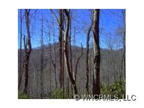 62 Havens Creek Road Black Mountain NC 28711