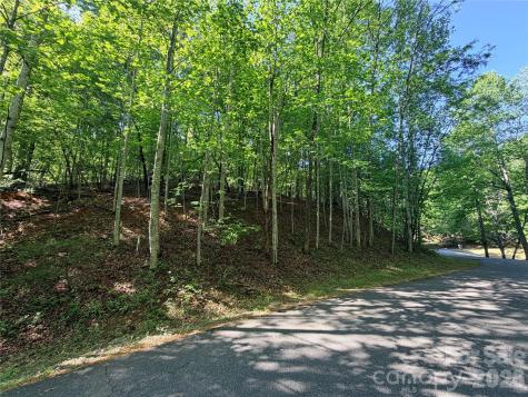 0000 Lakewood Drive Lake Lure NC 28746