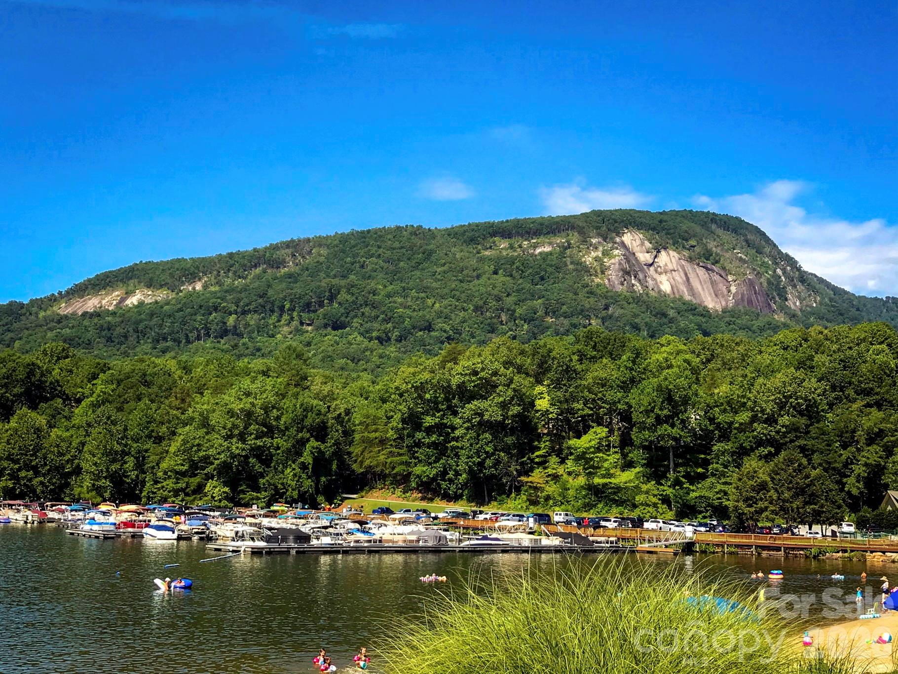 0000 Lakewood Drive Lake Lure NC 28746