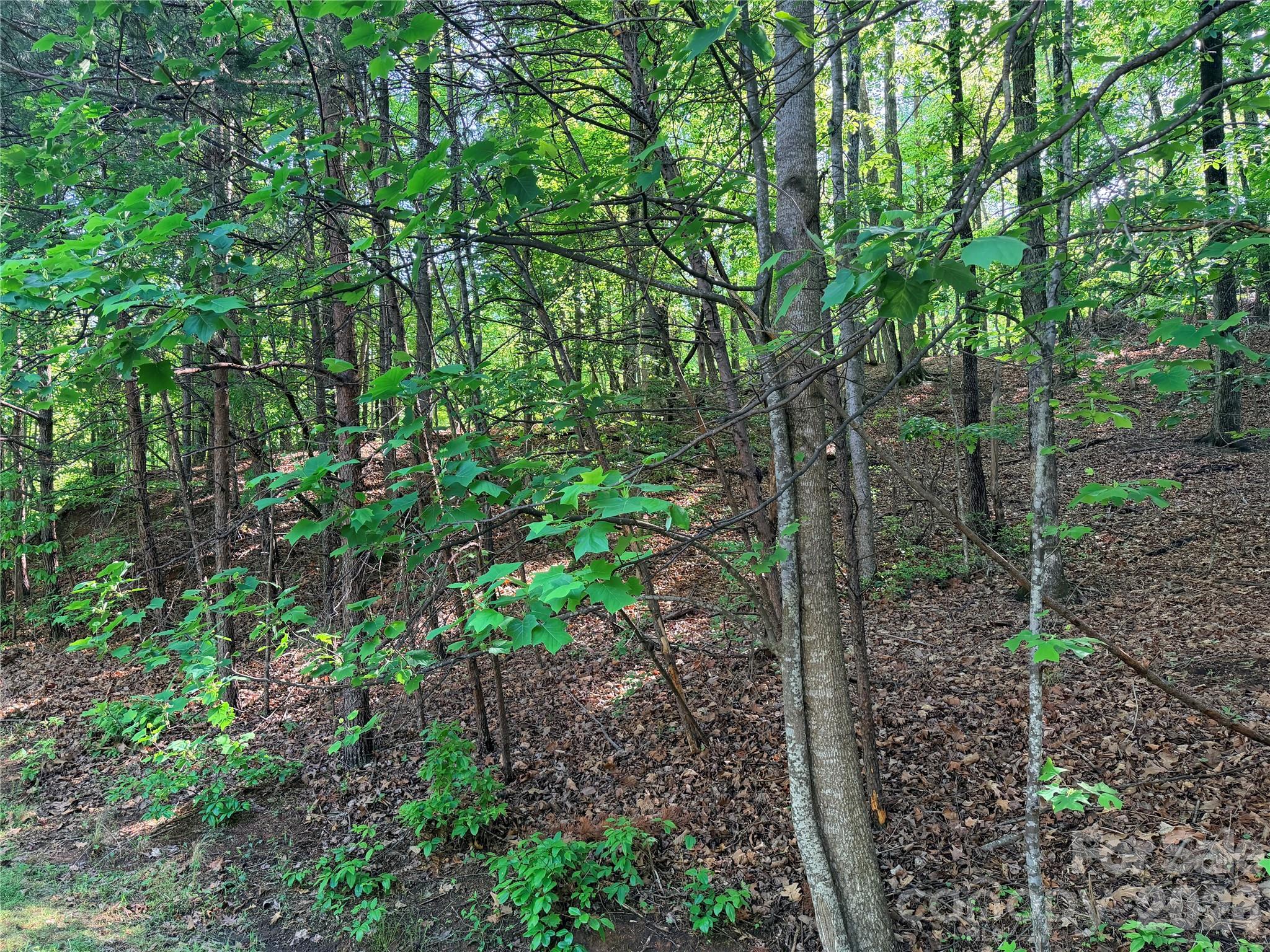 0000 Lakewood Drive Lake Lure NC 28746