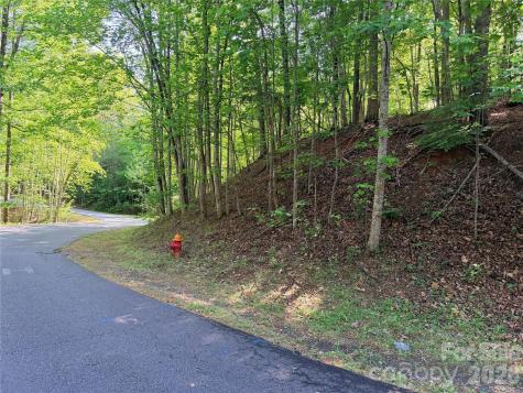 0000 Lakewood Drive Lake Lure NC 28746