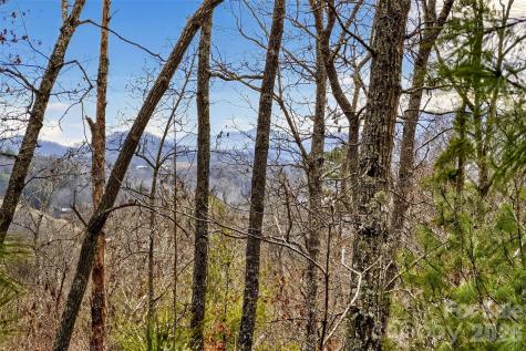 149 Turkey Trot Trail Marshall NC 28753