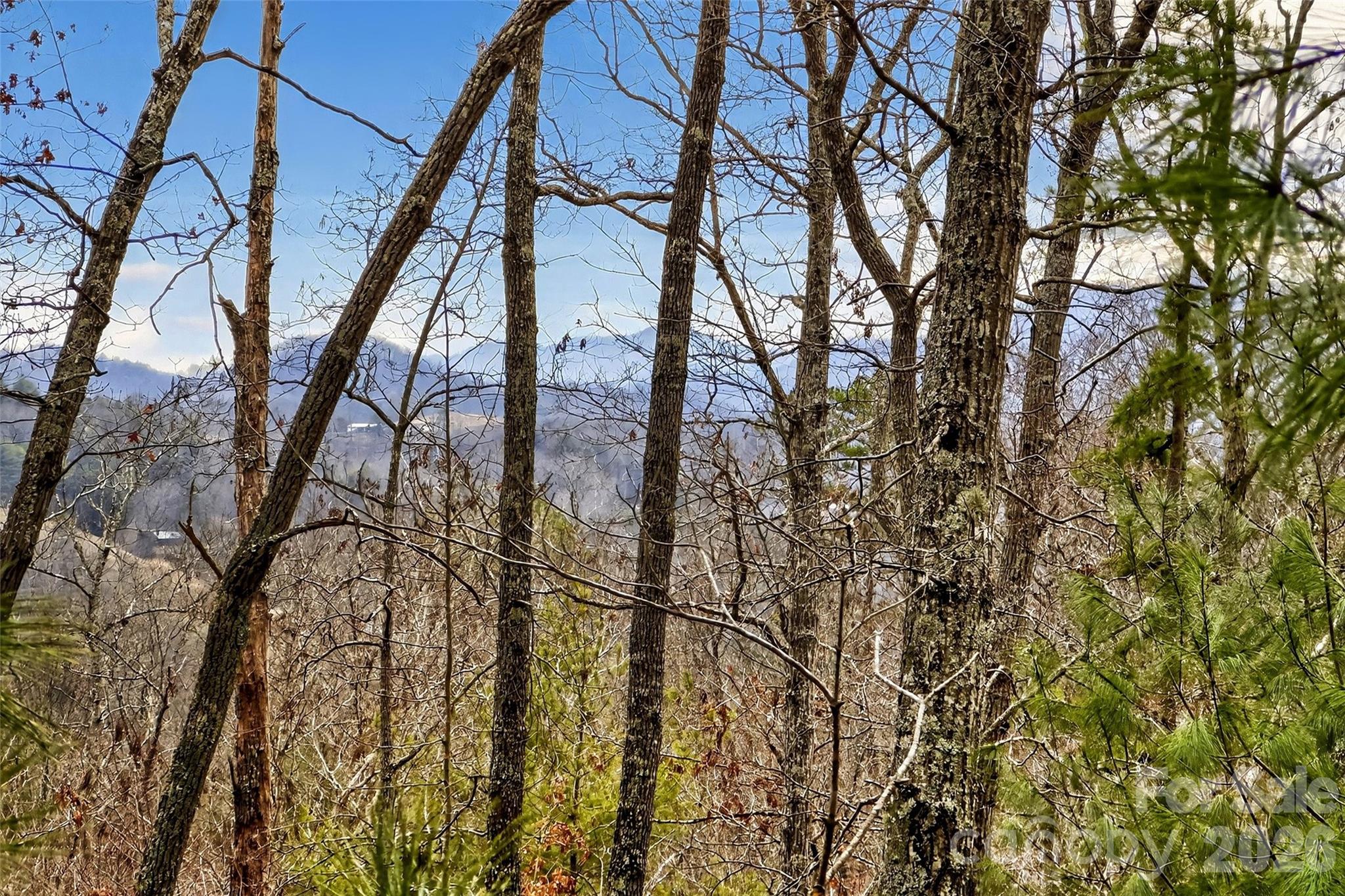 149 Turkey Trot Trail Marshall NC 28753