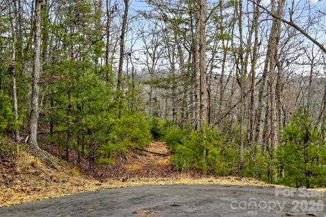 149 Turkey Trot Trail Marshall NC 28753