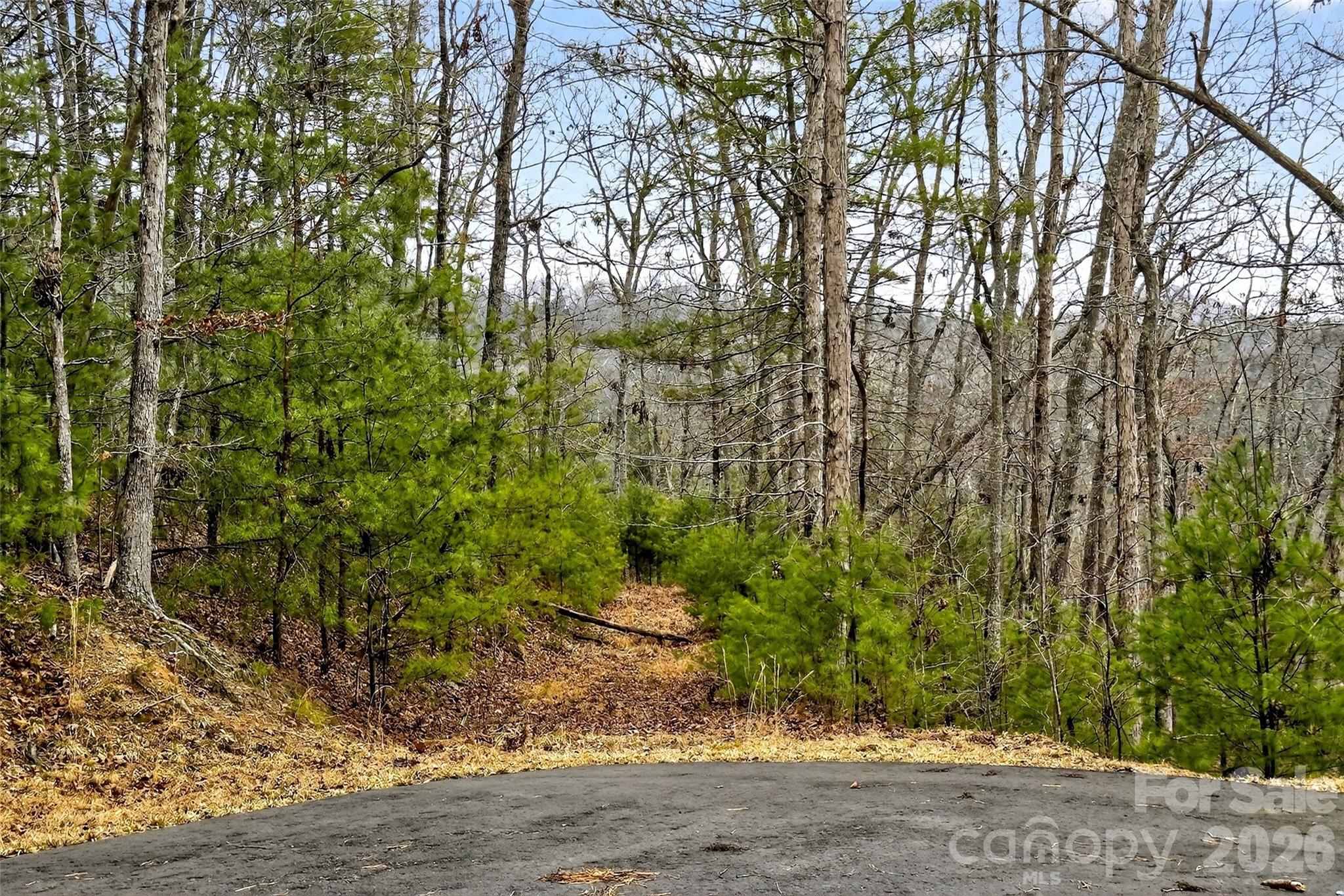 149 Turkey Trot Trail Marshall NC 28753