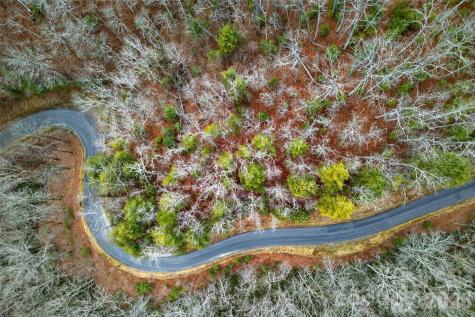 149 Turkey Trot Trail Marshall NC 28753