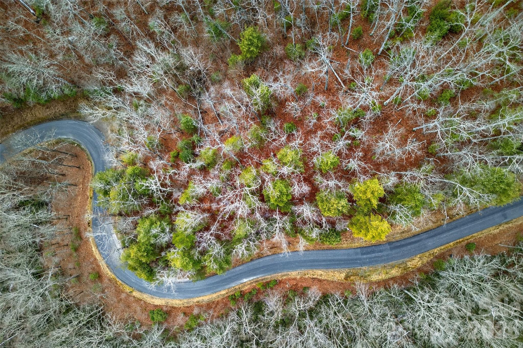 149 Turkey Trot Trail Marshall NC 28753