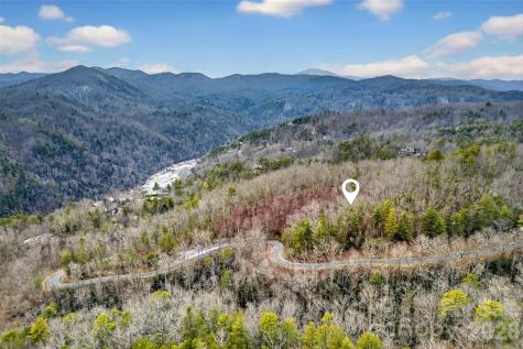 149 Turkey Trot Trail Marshall NC 28753
