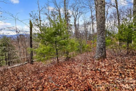 149 Turkey Trot Trail Marshall NC 28753
