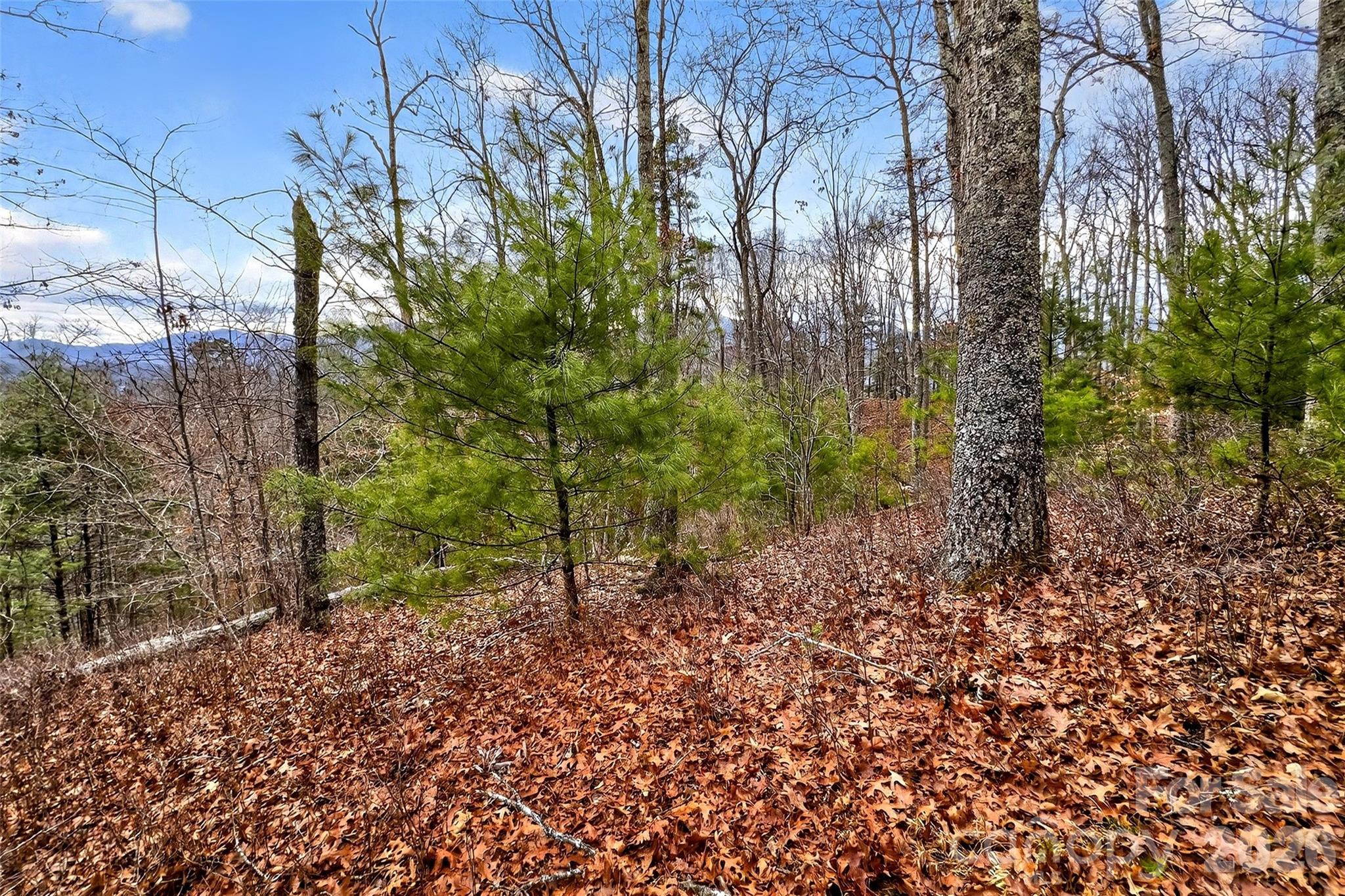 149 Turkey Trot Trail Marshall NC 28753