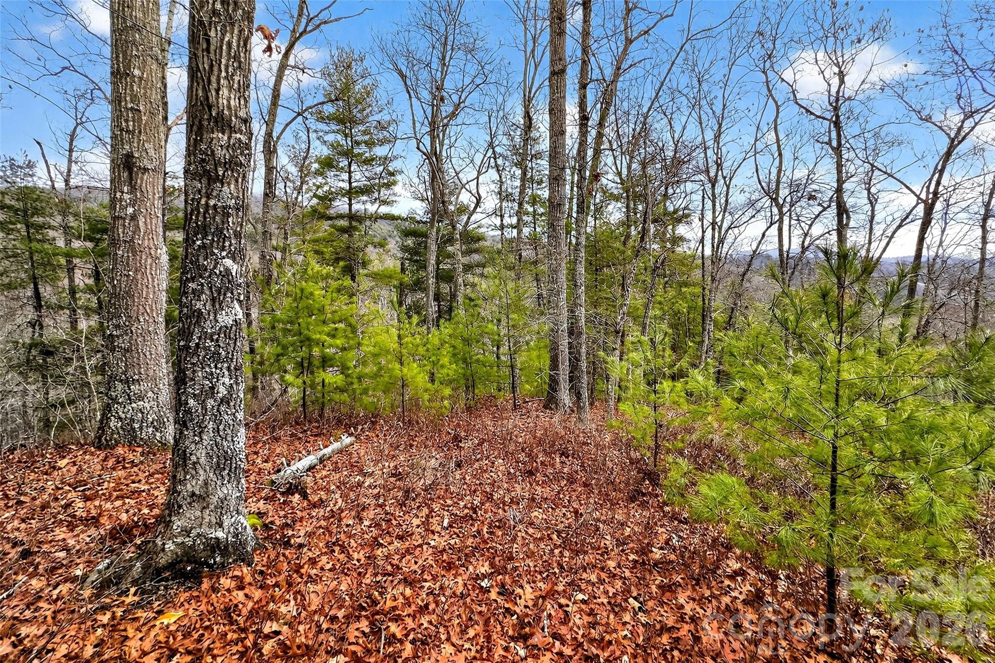 149 Turkey Trot Trail Marshall NC 28753
