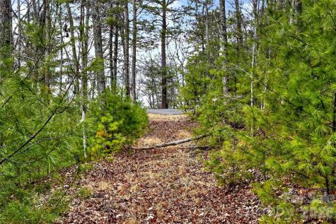 149 Turkey Trot Trail Marshall NC 28753