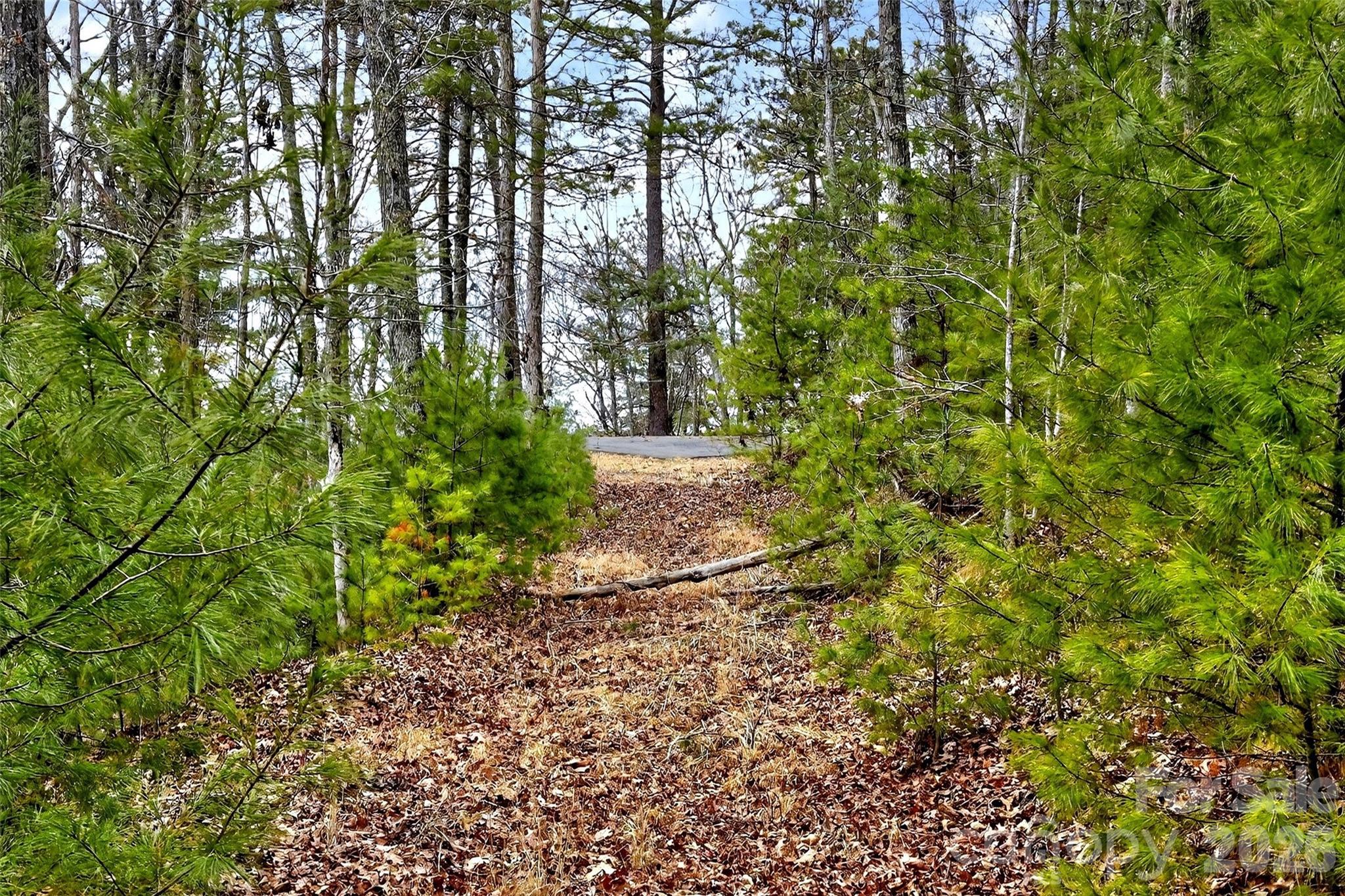 149 Turkey Trot Trail Marshall NC 28753