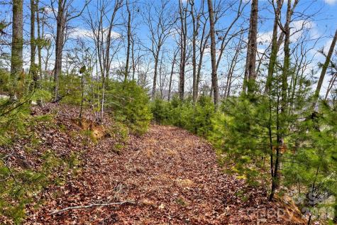 149 Turkey Trot Trail Marshall NC 28753