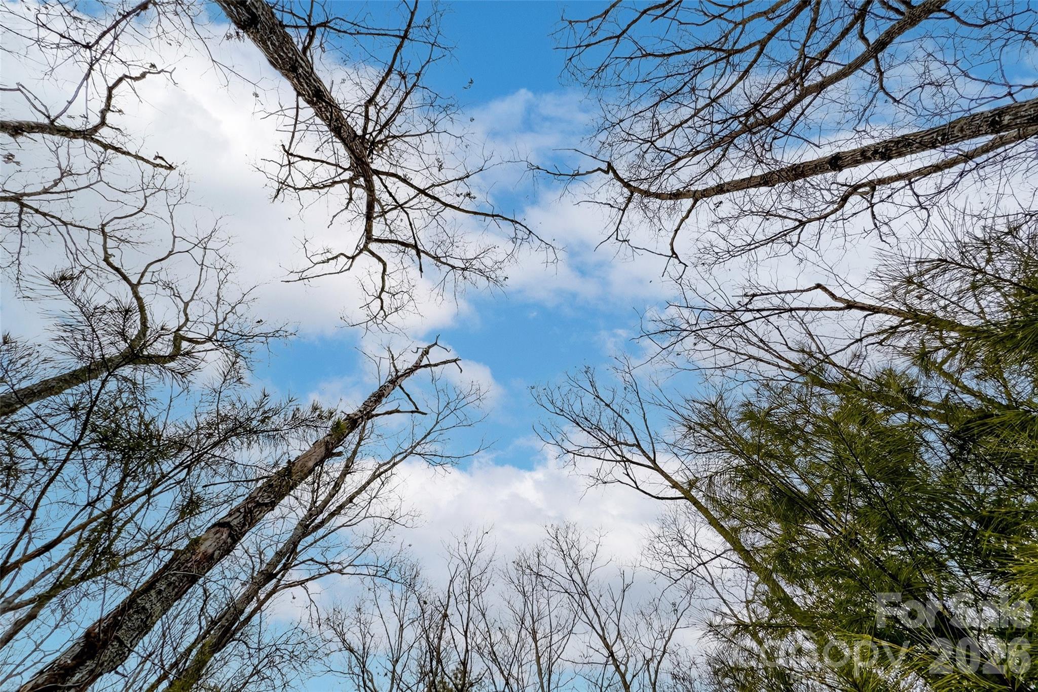 149 Turkey Trot Trail Marshall NC 28753