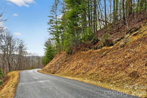 149 Turkey Trot Trail Marshall NC 28753