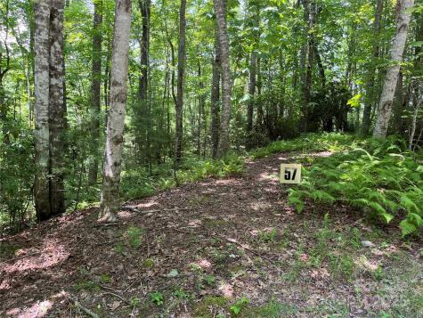 57 Big Branch Road Brevard NC 28712