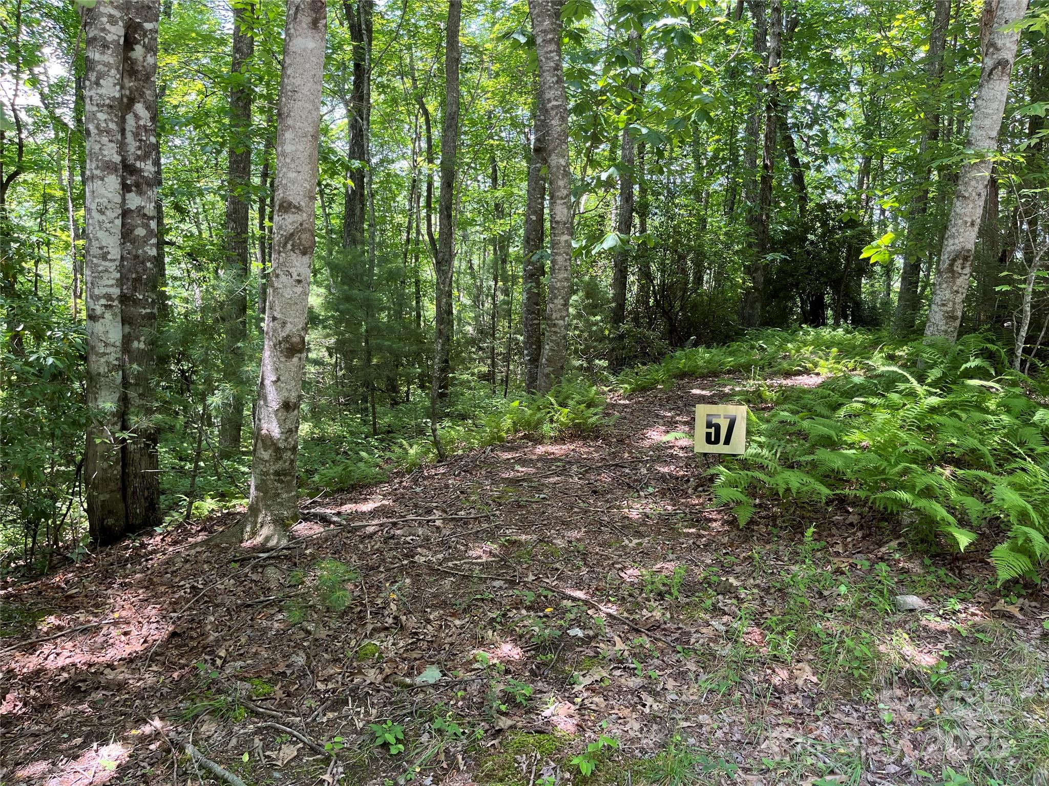 57 Big Branch Road Brevard NC 28712