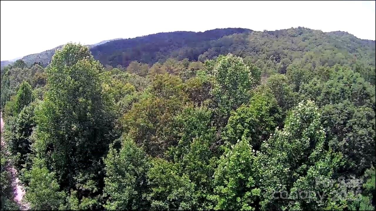 57 Big Branch Road Brevard NC 28712