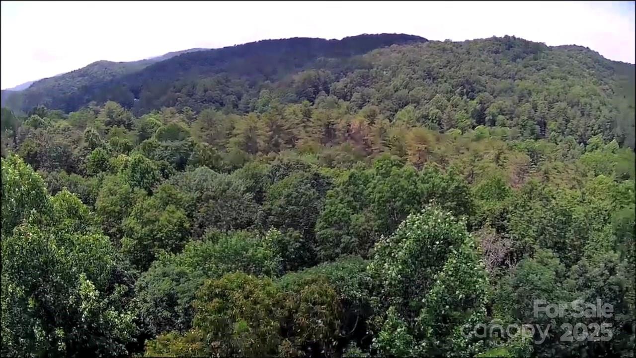 57 Big Branch Road Brevard NC 28712