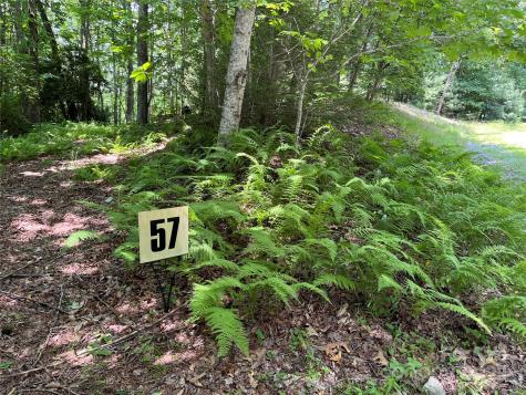 57 Big Branch Road Brevard NC 28712