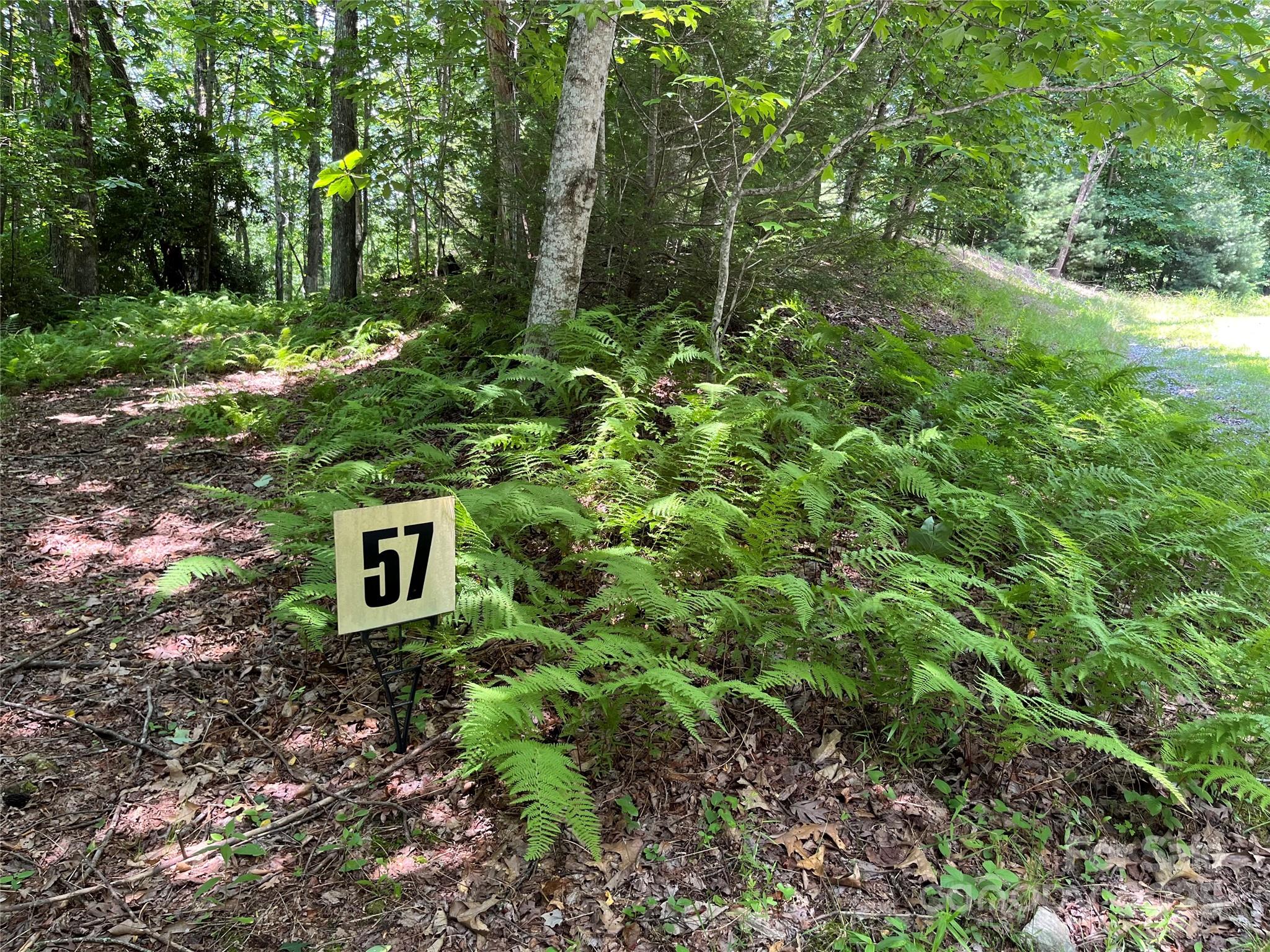 57 Big Branch Road Brevard NC 28712