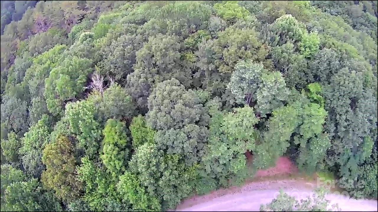 57 Big Branch Road Brevard NC 28712