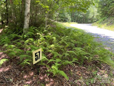 57 Big Branch Road Brevard NC 28712