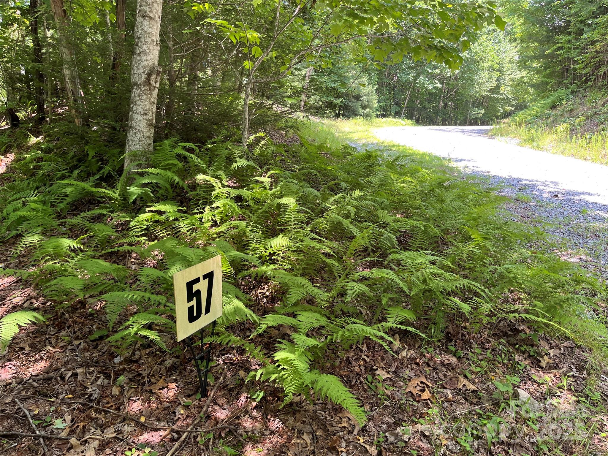 57 Big Branch Road Brevard NC 28712