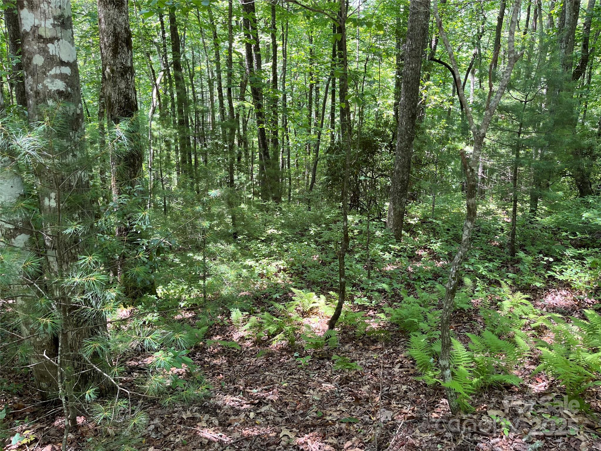 57 Big Branch Road Brevard NC 28712
