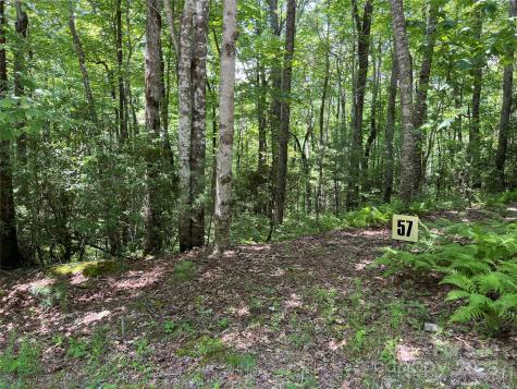 57 Big Branch Road Brevard NC 28712