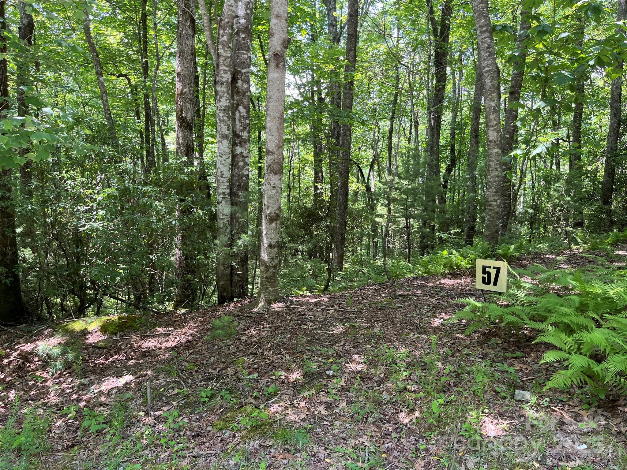 57 Big Branch Road Brevard NC 28712