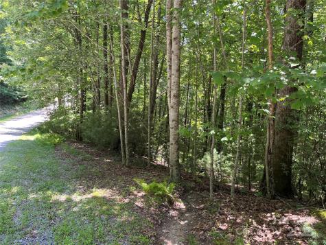 57 Big Branch Road Brevard NC 28712