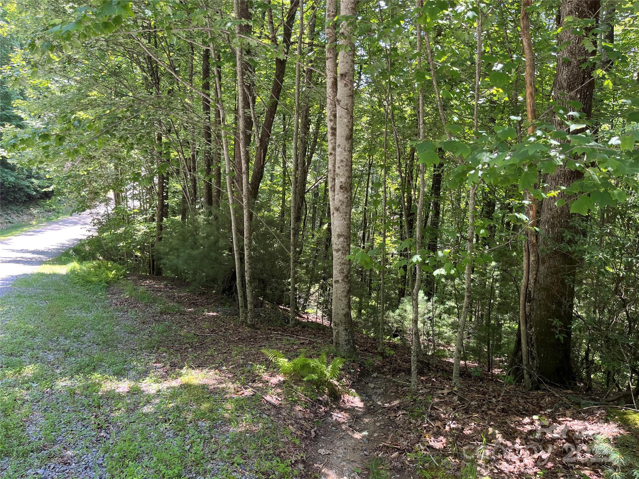 57 Big Branch Road Brevard NC 28712