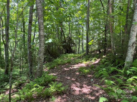 57 Big Branch Road Brevard NC 28712