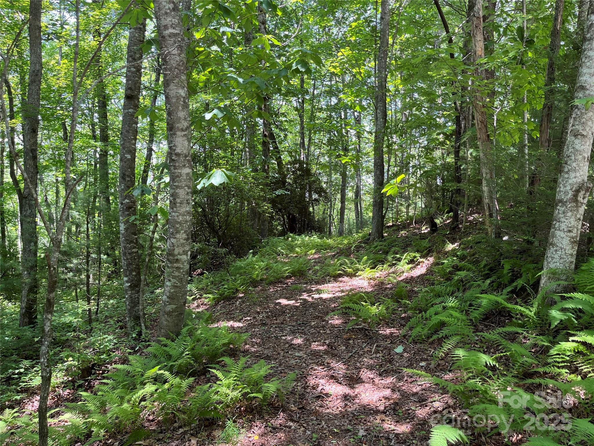 57 Big Branch Road Brevard NC 28712