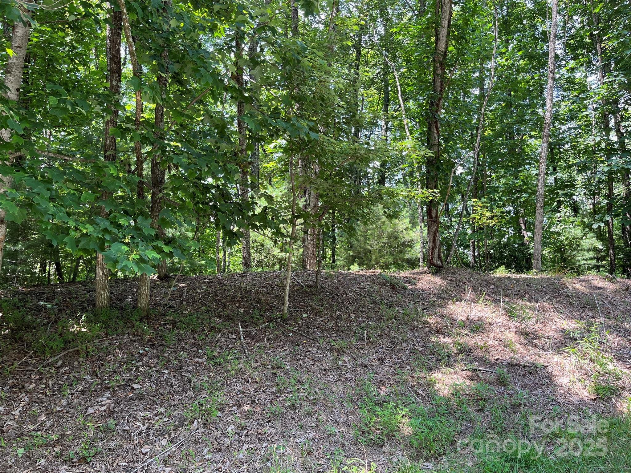 57 Big Branch Road Brevard NC 28712