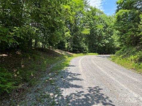 57 Big Branch Road Brevard NC 28712
