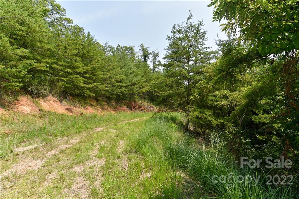 Lot 9 The Vines Boulevard Marshall NC 28753