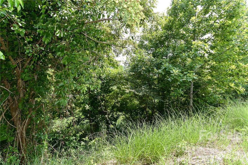 Lot 9 The Vines Boulevard Marshall NC 28753
