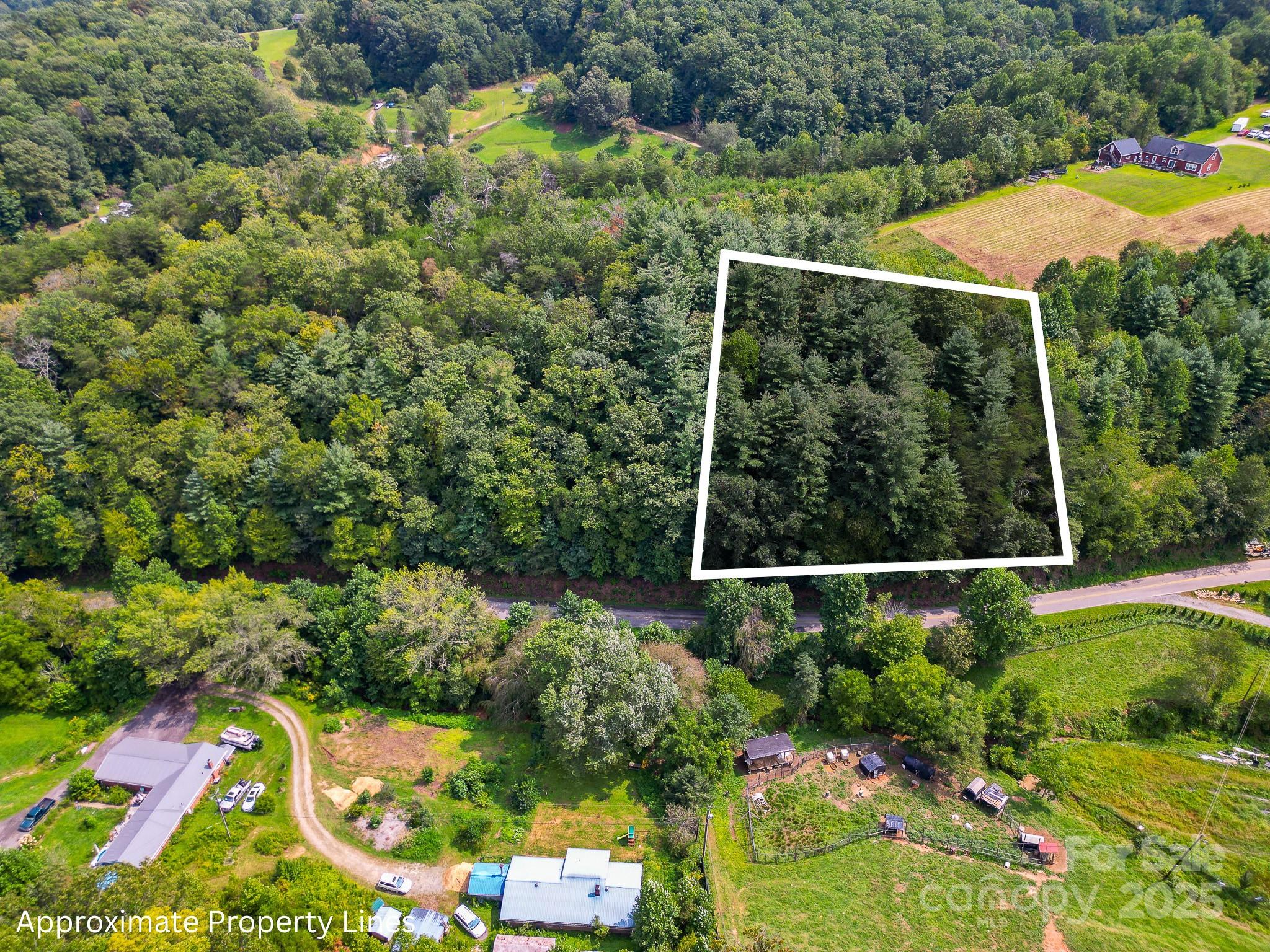99999 Morgan Cove Road Candler NC 28715