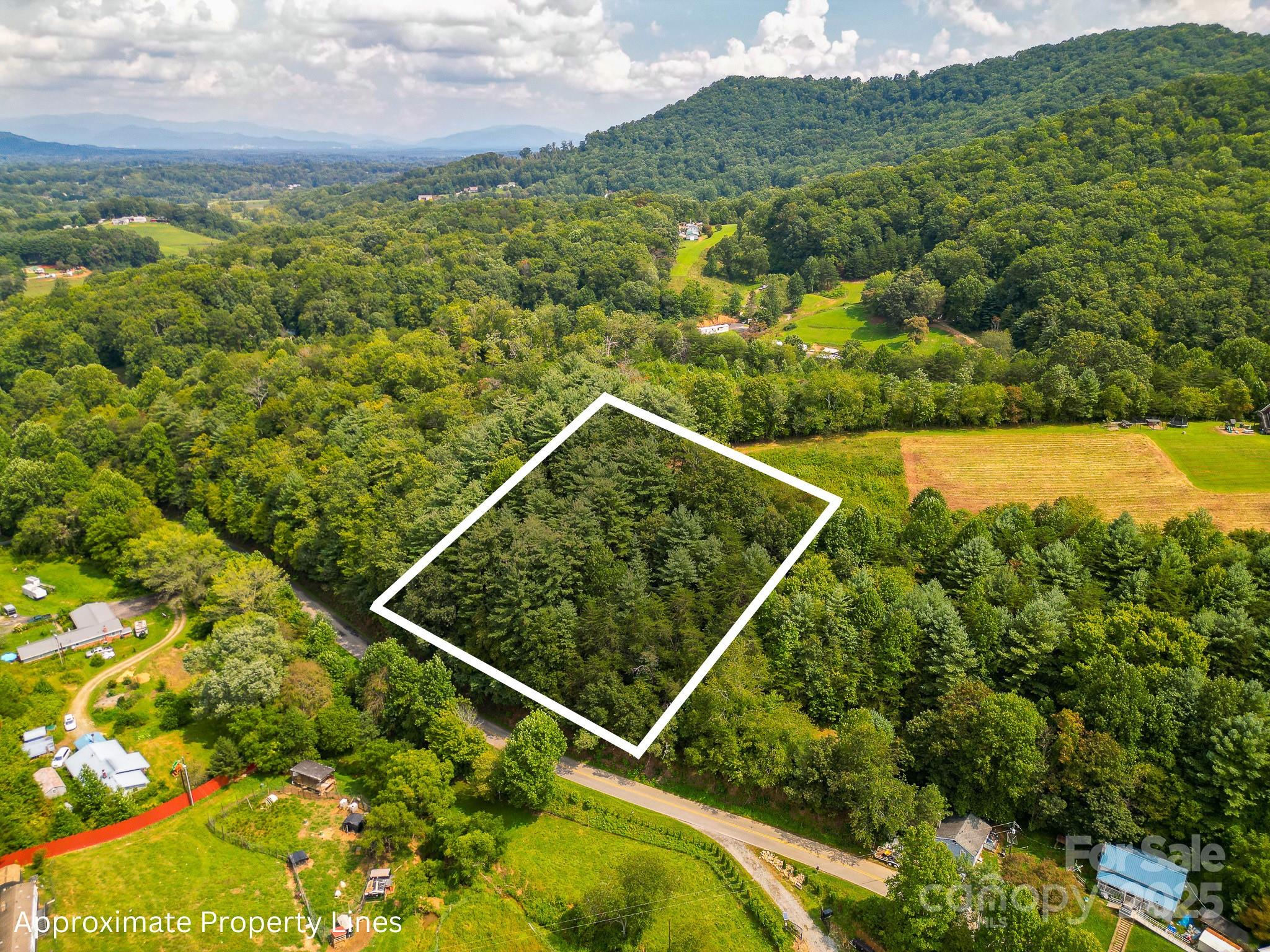 99999 Morgan Cove Road Candler NC 28715